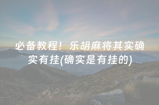 必备教程！乐胡麻将其实确实有挂(确实是有挂的)
