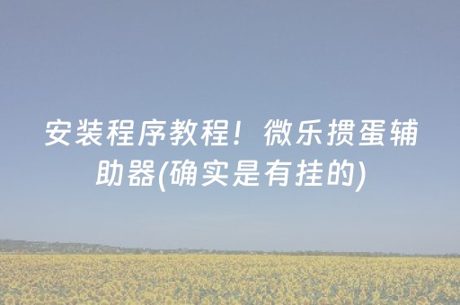 安装程序教程！微乐掼蛋辅助器(确实是有挂的)