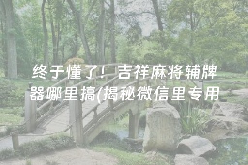 终于懂了！吉祥麻将辅牌器哪里搞(揭秘微信里专用神器下载)