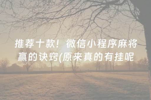 推荐十款！微信小程序麻将赢的诀窍(原来真的有挂呢)
