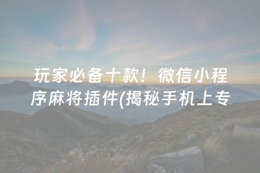 玩家必备十款！微信小程序麻将插件(揭秘手机上专用神器下载)