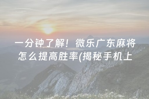 一分钟了解！微乐广东麻将怎么提高胜率(揭秘手机上助手软件)