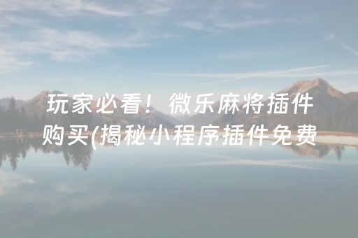 玩家必看！微乐麻将插件购买(揭秘小程序插件免费)