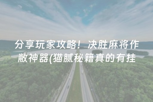 分享玩家攻略！决胜麻将作敝神器(猫腻秘籍真的有挂)