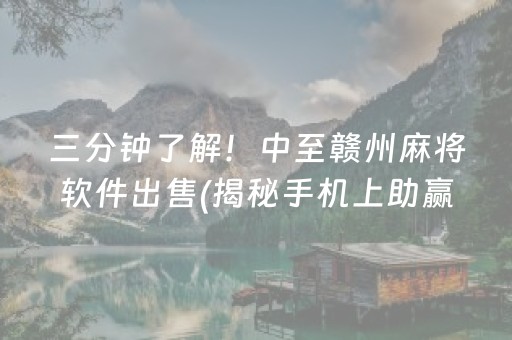 三分钟了解！中至赣州麻将软件出售(揭秘手机上助赢软件)