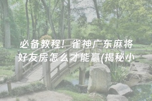 必备教程！雀神广东麻将好友房怎么才能赢(揭秘小程序助赢软件)