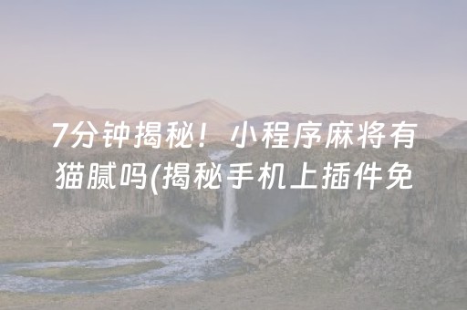 7分钟揭秘！小程序麻将有猫腻吗(揭秘手机上插件免费)