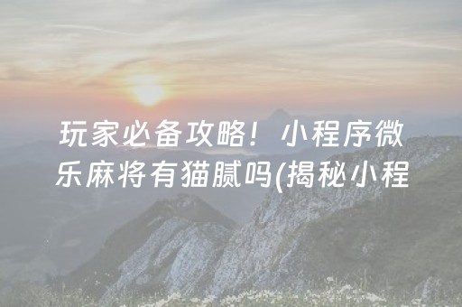 玩家必备攻略！小程序微乐麻将有猫腻吗(揭秘小程序规律攻略)