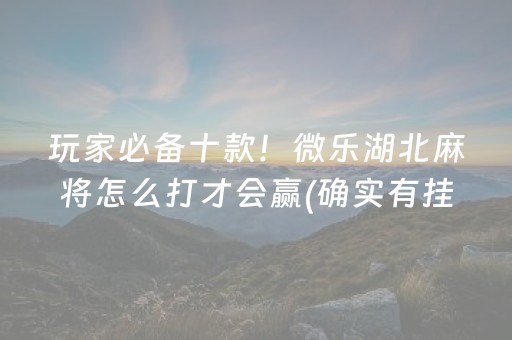 玩家必备十款！微乐湖北麻将怎么打才会赢(确实有挂)