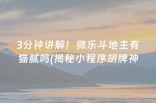 3分钟讲解！微乐斗地主有猫腻吗(揭秘小程序胡牌神器)
