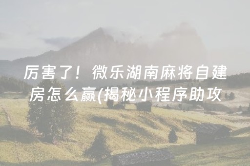 厉害了！微乐湖南麻将自建房怎么赢(揭秘小程序助攻神器)