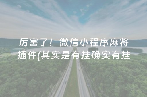 厉害了！微信小程序麻将插件(其实是有挂确实有挂)