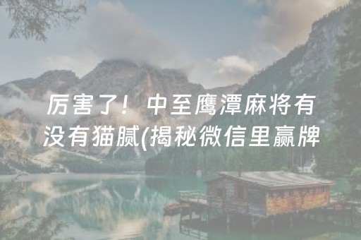 厉害了！中至鹰潭麻将有没有猫腻(揭秘微信里赢牌的技巧)