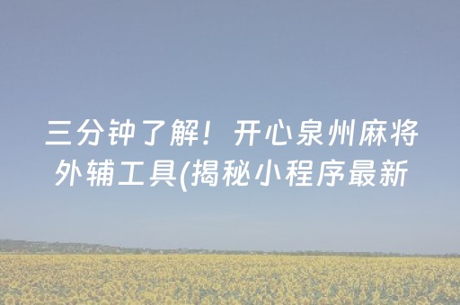 三分钟了解！开心泉州麻将外辅工具(揭秘小程序最新神器下载)