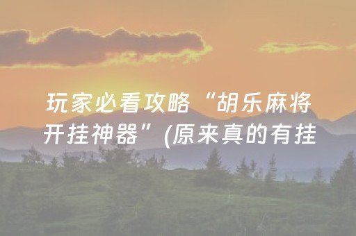 玩家必看攻略“胡乐麻将开挂神器”(原来真的有挂)-知乎