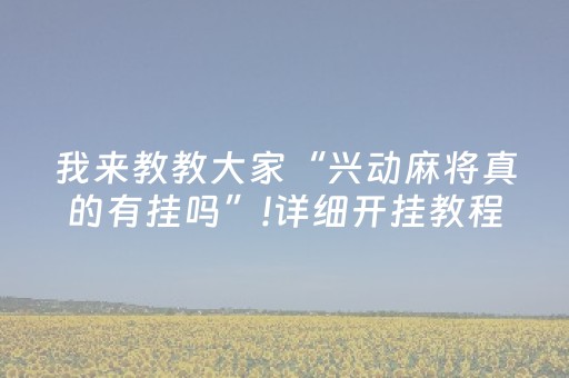 我来教教大家“兴动麻将真的有挂吗”!详细开挂教程-知乎