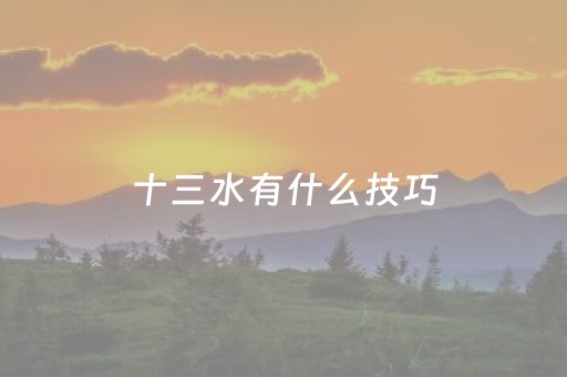 十三水有什么技巧（十三水有哪些稳定技巧）