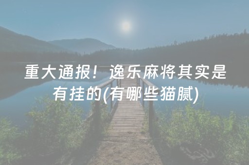 重大通报！逸乐麻将其实是有挂的(有哪些猫腻)