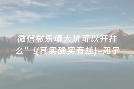 微信微乐填大坑可以开挂么”!(其实确实有挂)-知乎