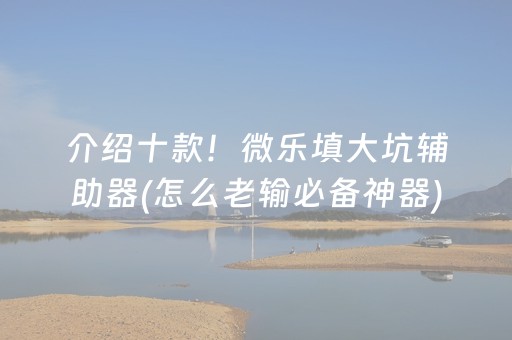 介绍十款！微乐填大坑辅助器(怎么老输必备神器)
