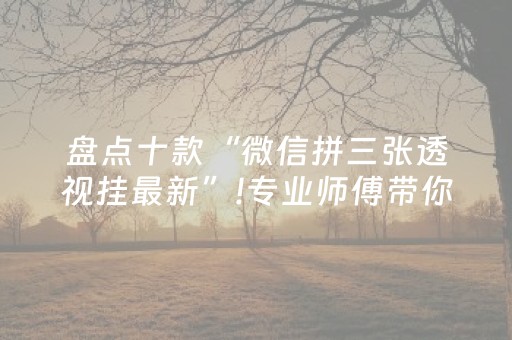 盘点十款“微信拼三张透视挂最新”!专业师傅带你一起了解（详细教程）-知乎