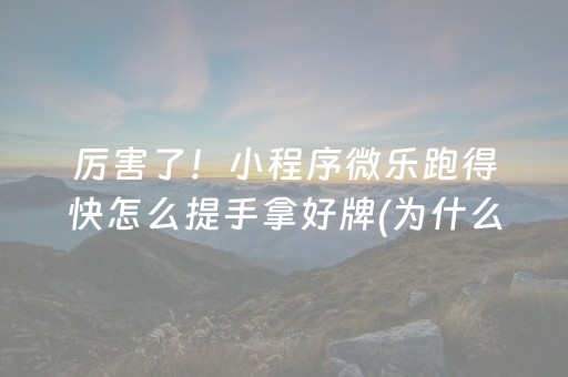 厉害了！小程序微乐跑得快怎么提手拿好牌(为什么总是输)