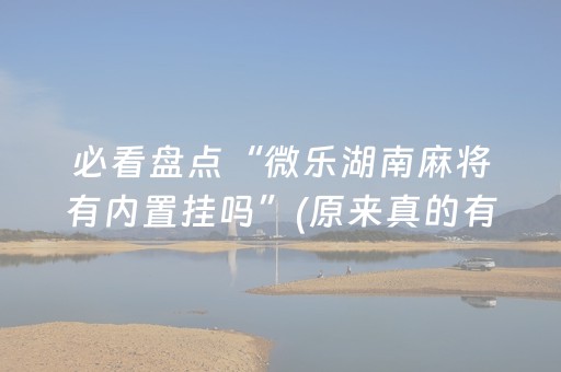 必看盘点“微乐湖南麻将有内置挂吗”(原来真的有挂)-知乎