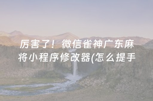 厉害了！微信雀神广东麻将小程序修改器(怎么提手拿好牌)