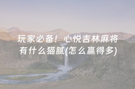 玩家必备！心悦吉林麻将有什么猫腻(怎么赢得多)