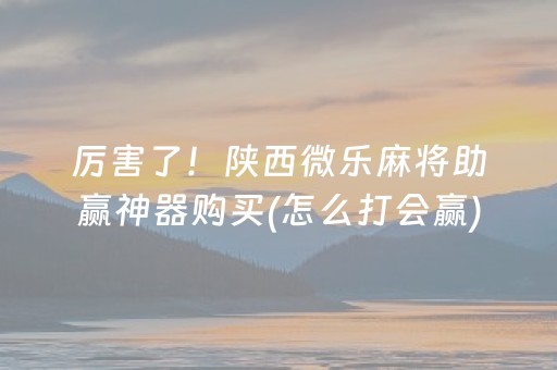 厉害了！陕西微乐麻将助赢神器购买(怎么打会赢)