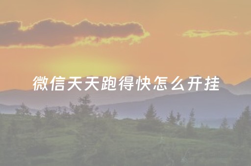微信天天跑得快怎么开挂（微信跑得快能不能开挂）