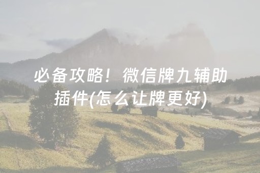 必备攻略！微信牌九辅助插件(怎么让牌更好)