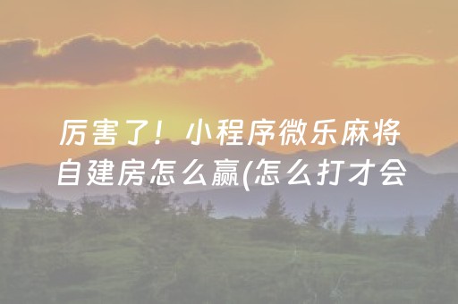 厉害了！小程序微乐麻将自建房怎么赢(怎么打才会赢)