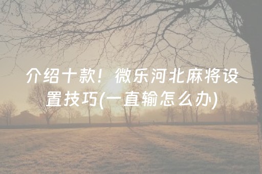 介绍十款！微乐河北麻将设置技巧(一直输怎么办)