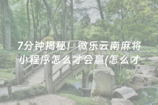 7分钟揭秘！微乐云南麻将小程序怎么才会赢(怎么才能调胜率)