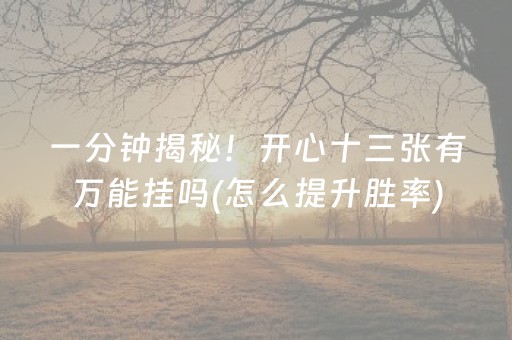 一分钟揭秘！开心十三张有万能挂吗(怎么提升胜率)