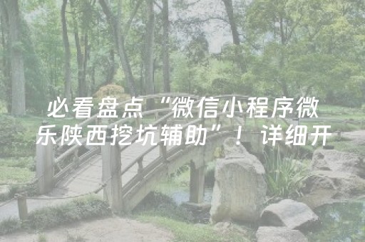 必看盘点“微信小程序微乐陕西挖坑辅助”！详细开挂教程（确实真的有挂)-知乎
