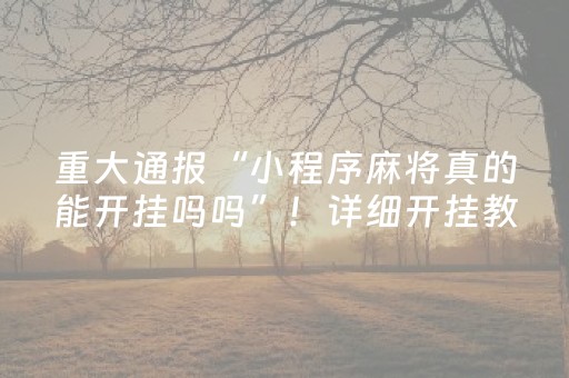 重大通报“小程序麻将真的能开挂吗吗”！详细开挂教程（确实真的有挂)-知乎