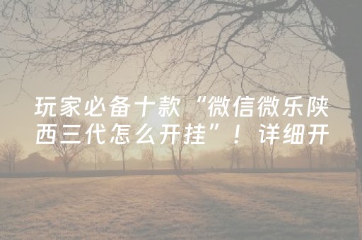 玩家必备十款“微信微乐陕西三代怎么开挂”！详细开挂教程（确实真的有挂)-知乎