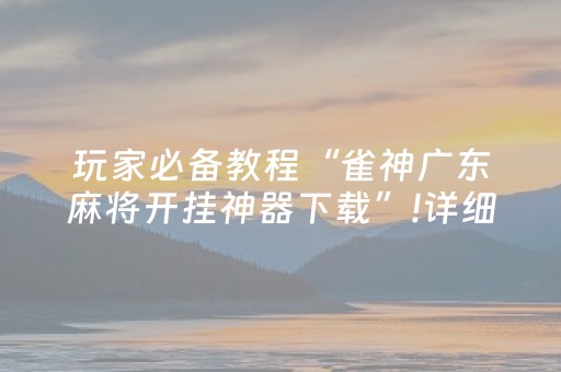玩家必备教程“雀神广东麻将开挂神器下载”!详细开挂教程-知乎