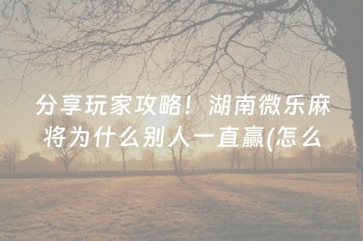 分享玩家攻略！湖南微乐麻将为什么别人一直赢(怎么提高好牌几率)