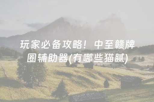 玩家必备攻略！中至赣牌圈辅助器(有哪些猫腻)