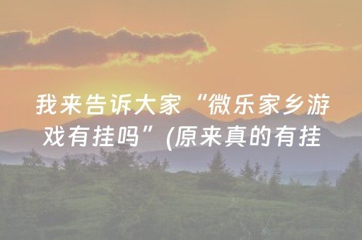 我来告诉大家“微乐家乡游戏有挂吗”(原来真的有挂)-知乎