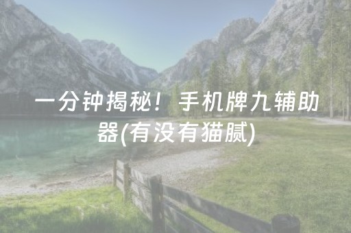 一分钟揭秘！手机牌九辅助器(有没有猫腻)