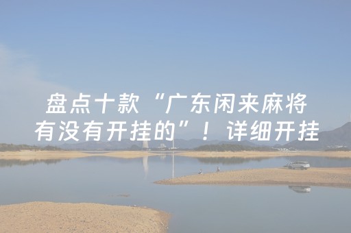 盘点十款“广东闲来麻将有没有开挂的”！详细开挂教程（确实真的有挂)-知乎