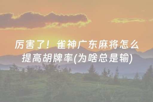 厉害了！雀神广东麻将怎么提高胡牌率(为啥总是输)