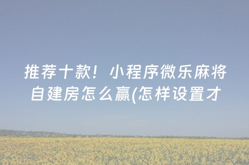 推荐十款！小程序微乐麻将自建房怎么赢(怎样设置才容易赢)