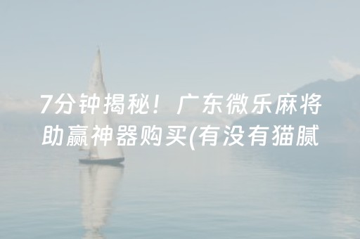 7分钟揭秘！广东微乐麻将助赢神器购买(有没有猫腻)