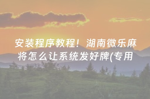 安装程序教程！湖南微乐麻将怎么让系统发好牌(专用神器下载)