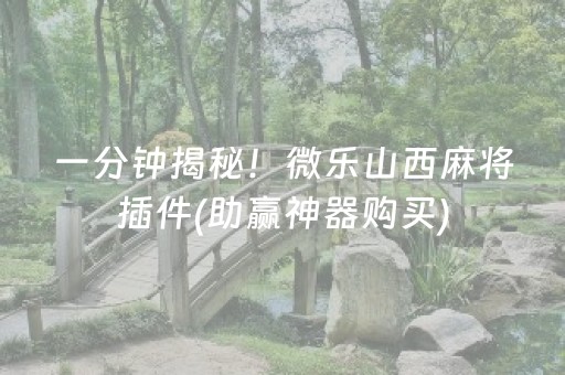 一分钟揭秘！微乐山西麻将插件(助赢神器购买)